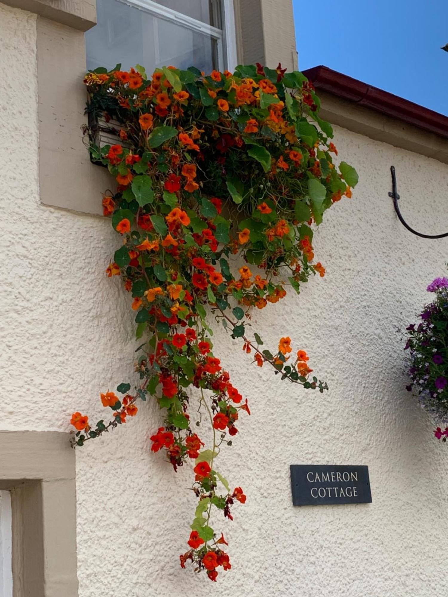 Cameron Cottage Inverkip المظهر الخارجي الصورة